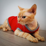 Blake Tank - Berry Playful - Cat-toure Cat Clothes