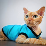 Blake Tank - Fresh Mint - Cat-toure Cat Clothes
