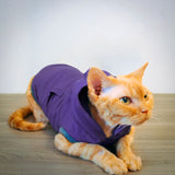 Devon Hoodie - Purple Haze - Cat-toure Cat Clothes