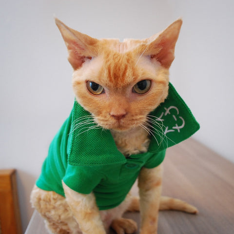Wesley Polo - Emerald - Cat-toure Cat Clothes