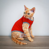 Blake Tank - Berry Playful - Cat-toure Cat Clothes