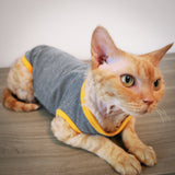 Blake Tank - Olympic Gold - Cat-toure Cat Clothes