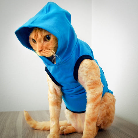 Devon Hoodie - Ocean Breeze - Cat-toure Cat Clothes