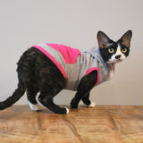 Devon Hoodie - Unicorn Candy - Cat-toure Cat Clothes