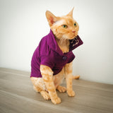 Wesley Polo - Plumberry - Cat-toure Cat Clothes